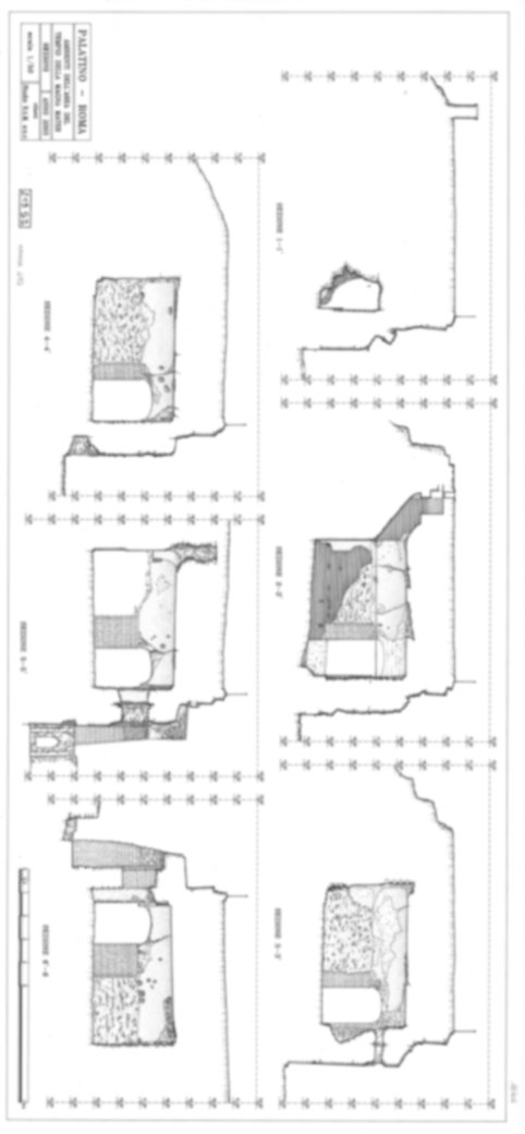 Roma, Palatino. Area sud-ovest. Domus Tiberiana - Settore 3, 31