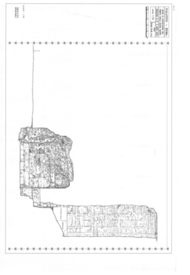 19031 - Roma, Palatino. Area sud-ovest. Tempio della Magna Mater