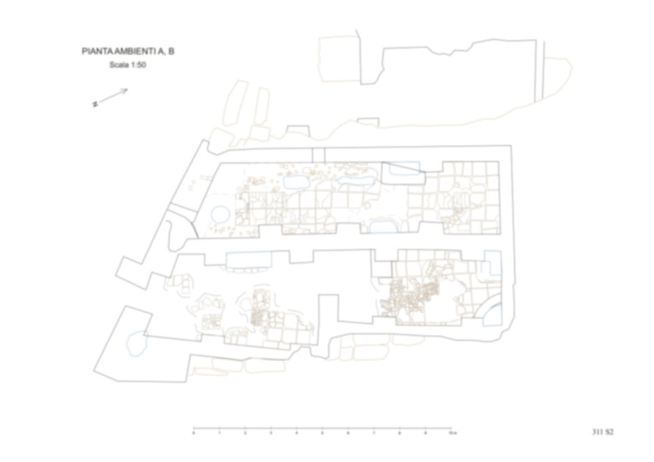 Roma, Palatino. Area sud-ovest. Pendici. Tempio della Magna Mater