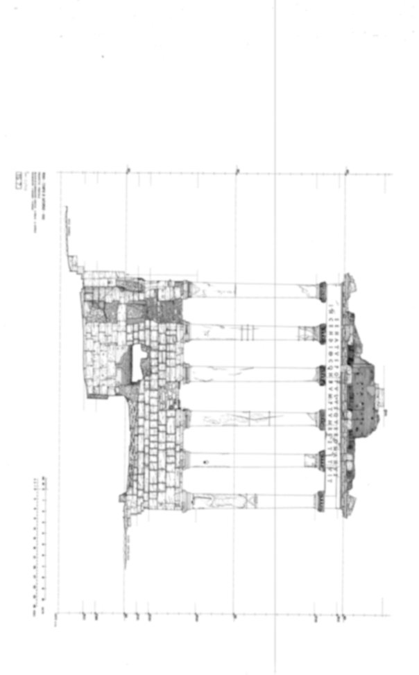 Roma, Foro Romano. Tempio di Saturno