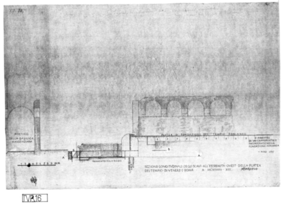 Roma, Foro Romano. Tempio di Venere e Roma, S. Maria Nova - S. Francesca Romana, Uffici, Antiquario Forense