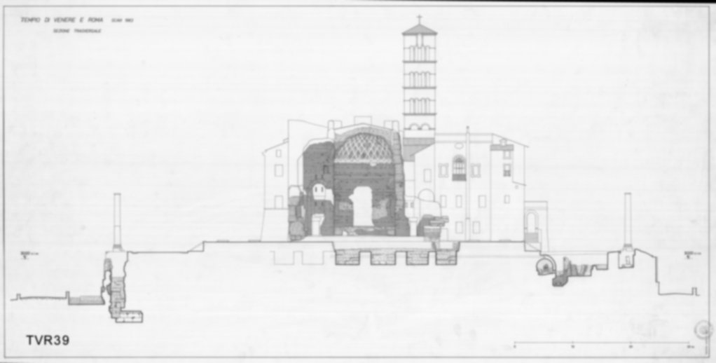 Roma, Foro Romano. Tempio di Venere e Roma, S. Maria Nova - S. Francesca Romana, Uffici, Antiquario Forense