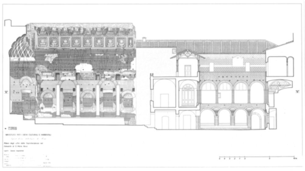 Roma, Foro Romano. Tempio di Venere e Roma, S. Maria Nova - S. Francesca Romana, Uffici, Antiquario Forense