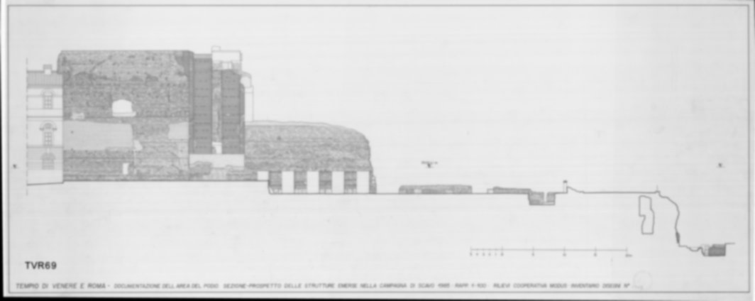 Roma, Foro Romano. Tempio di Venere e Roma, S. Maria Nova - S. Francesca Romana, Uffici, Antiquario Forense