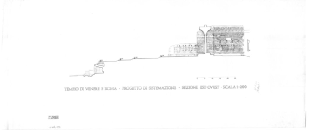 Roma, Foro Romano. Tempio di Venere e Roma, S. Maria Nova - S. Francesca Romana, Uffici, Antiquario Forense