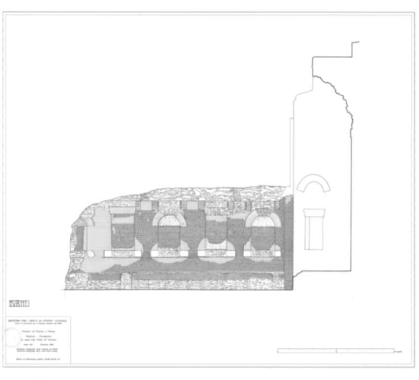 Roma, Foro Romano. Tempio di Venere e Roma, S. Maria Nova - S. Francesca Romana, Uffici, Antiquario Forense