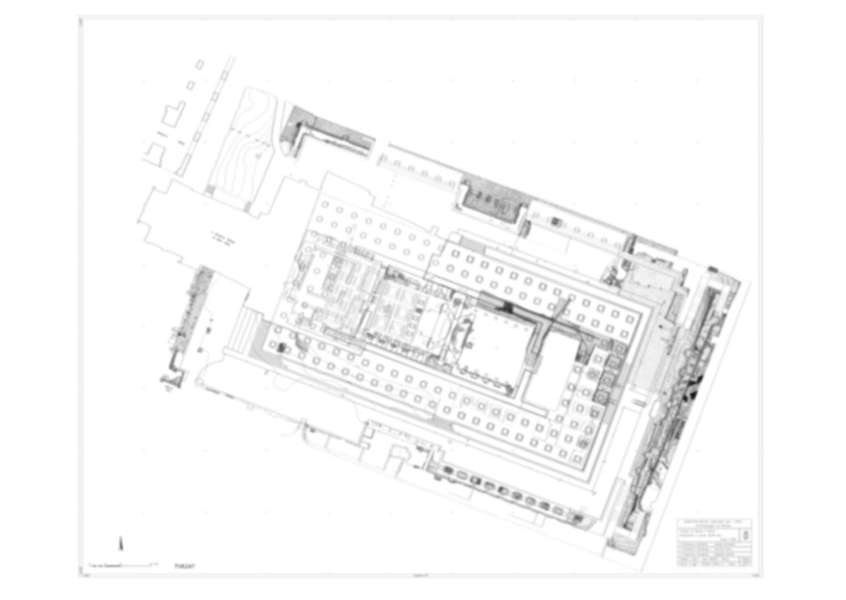 Roma, Foro Romano. Tempio di Venere e Roma, S. Maria Nova - S. Francesca Romana, Uffici, Antiquario Forense