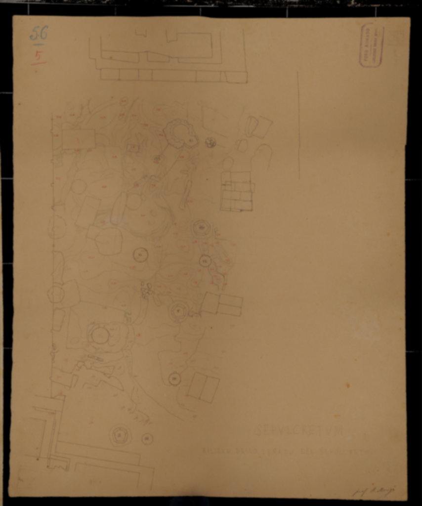 SEP_ARC_56_5