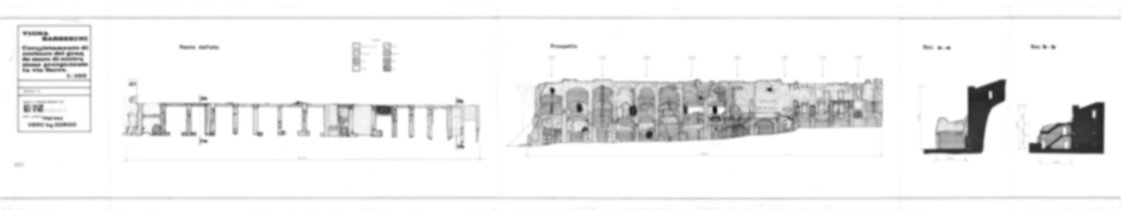 Roma, Palatino. Vigna Barberini. Tempio di Elagabalo - S. Sebastiano; S. Bonaventura
