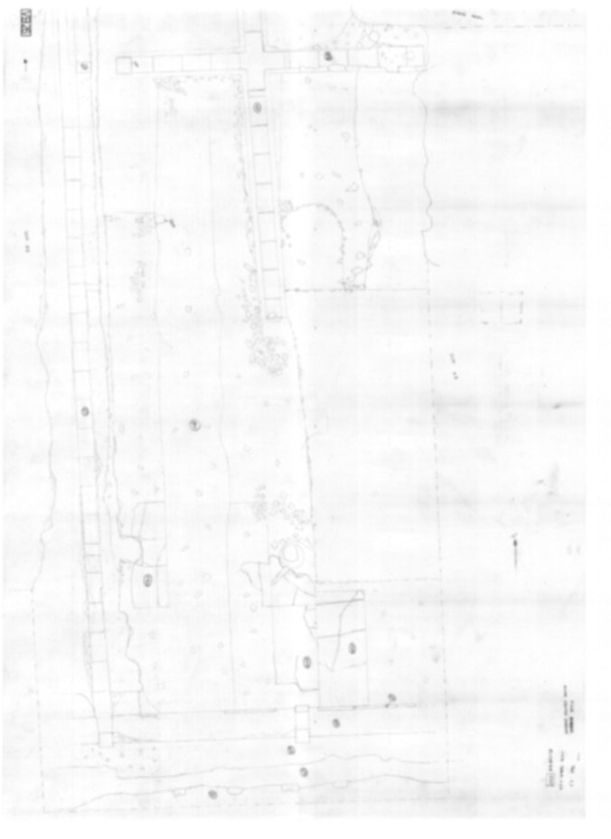 Roma, Palatino. Vigna Barberini. Tempio di Elagabalo - S. Sebastiano; S. Bonaventura