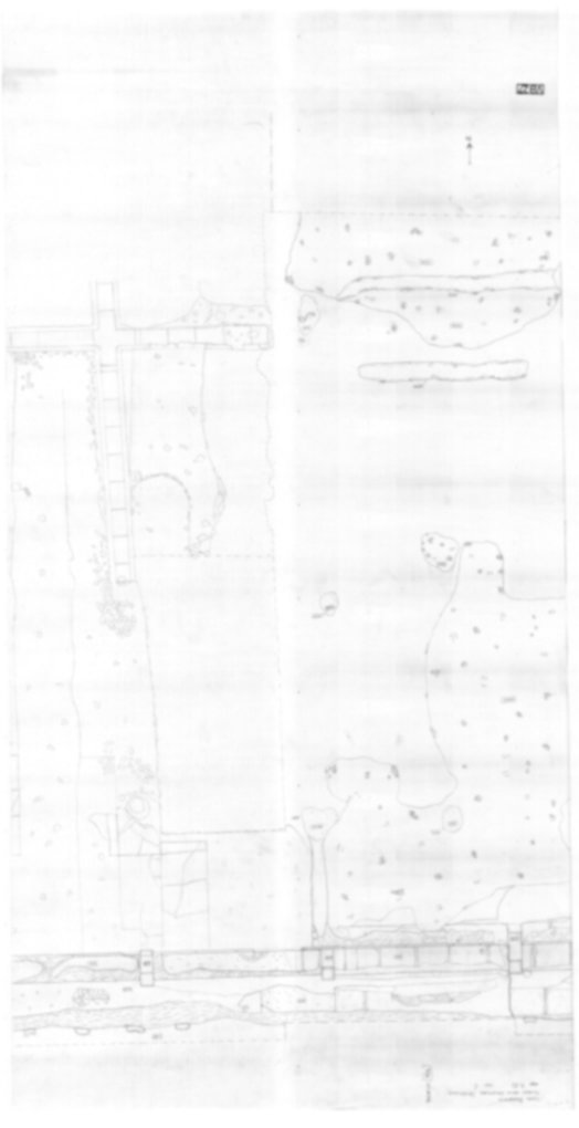 Roma, Palatino. Vigna Barberini. Tempio di Elagabalo - S. Sebastiano; S. Bonaventura