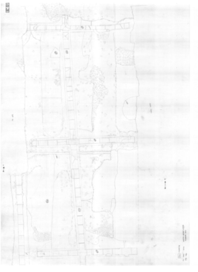 Roma, Palatino. Vigna Barberini. Tempio di Elagabalo - S. Sebastiano; S. Bonaventura
