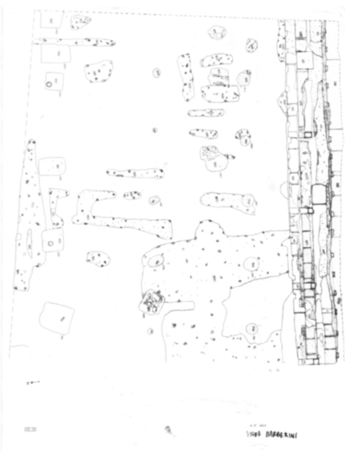 Roma, Palatino. Vigna Barberini. Tempio di Elagabalo - S. Sebastiano; S. Bonaventura