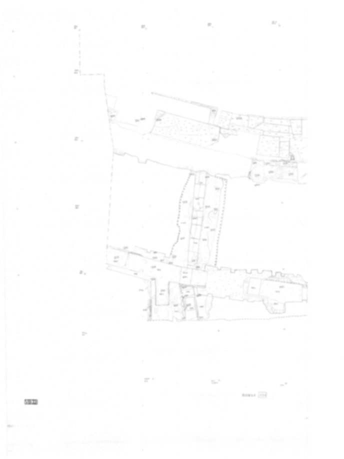 Roma, Palatino. Vigna Barberini. Tempio di Elagabalo - S. Sebastiano; S. Bonaventura