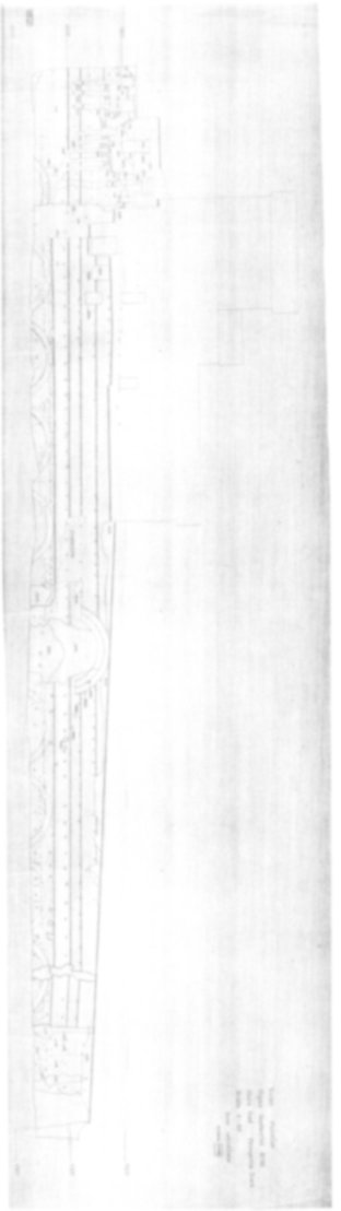 Roma, Palatino. Vigna Barberini. Tempio di Elagabalo - S. Sebastiano; S. Bonaventura
