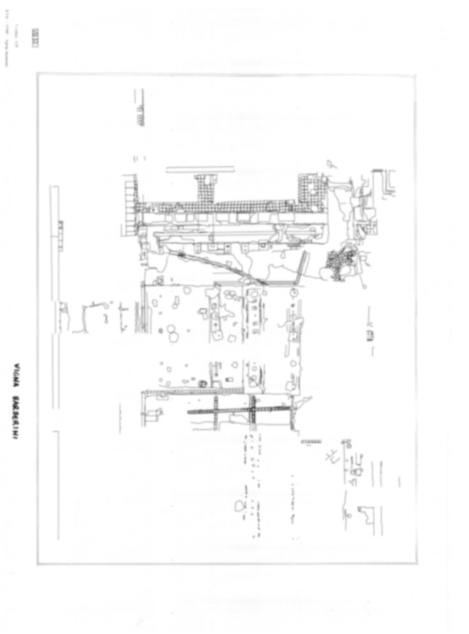 Roma, Palatino. Vigna Barberini. Tempio di Elagabalo - S. Sebastiano; S. Bonaventura