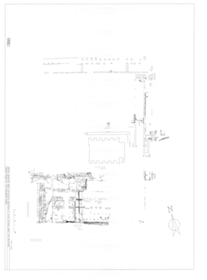 Roma, Palatino. Vigna Barberini. Tempio di Elagabalo - S. Sebastiano; S. Bonaventura