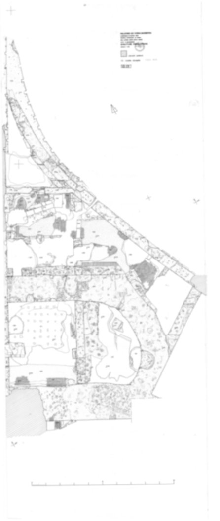Roma, Palatino. Vigna Barberini. Tempio di Elagabalo - S. Sebastiano; S. Bonaventura
