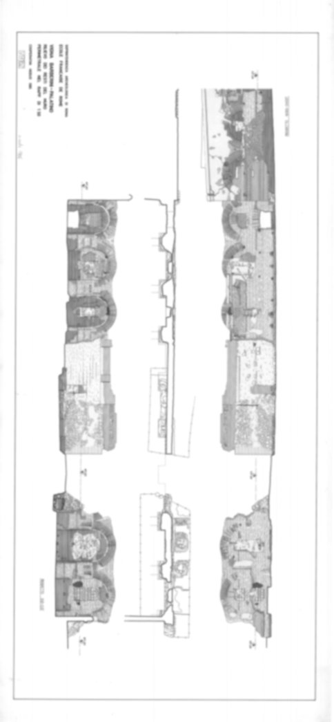 Roma, Palatino. Vigna Barberini. Tempio di Elagabalo - S. Sebastiano; S. Bonaventura