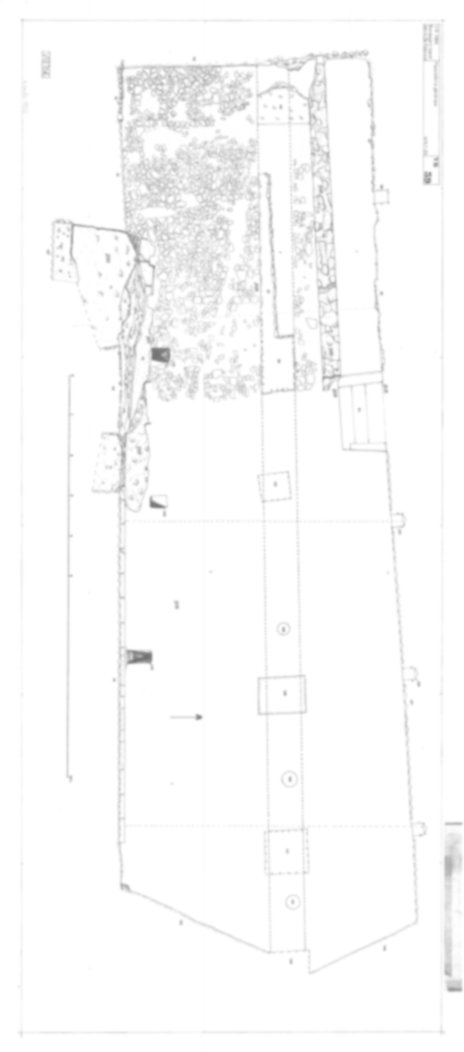 Roma, Palatino. Vigna Barberini. Tempio di Elagabalo - S. Sebastiano; S. Bonaventura