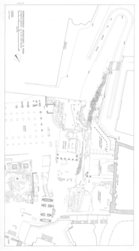 VDC35 - Roma, Foro Romano. Scavo via della Consolazione; lato ovest Foro Romano