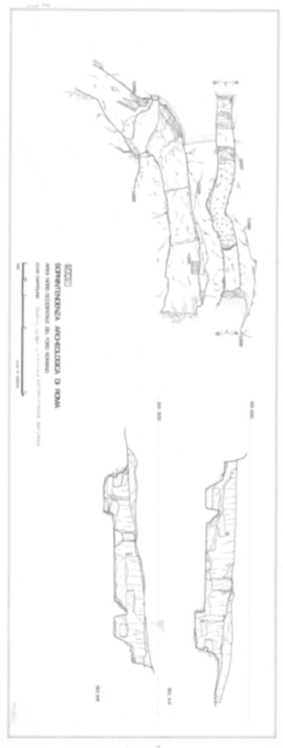 Roma, Foro Romano. Scavo via della Consolazione; lato ovest Foro Romano; Clivo Capitolino