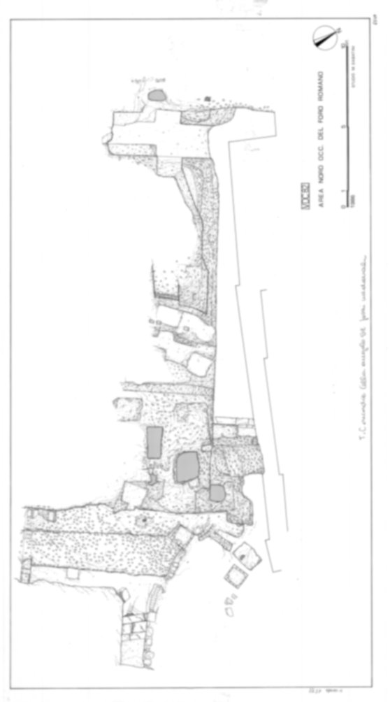 Roma, Foro Romano. Scavo via della Consolazione; lato ovest Foro Romano; Tempio della Concordia