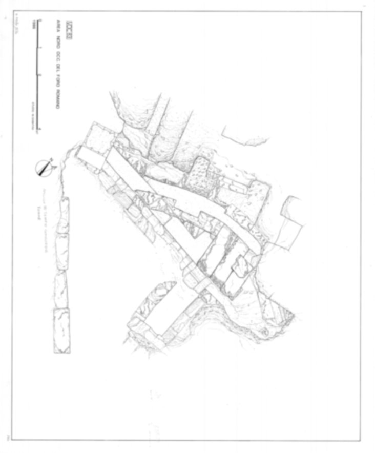 Roma, Foro Romano. Scavo via della Consolazione; lato ovest Foro Romano; Tempio della Concordia
