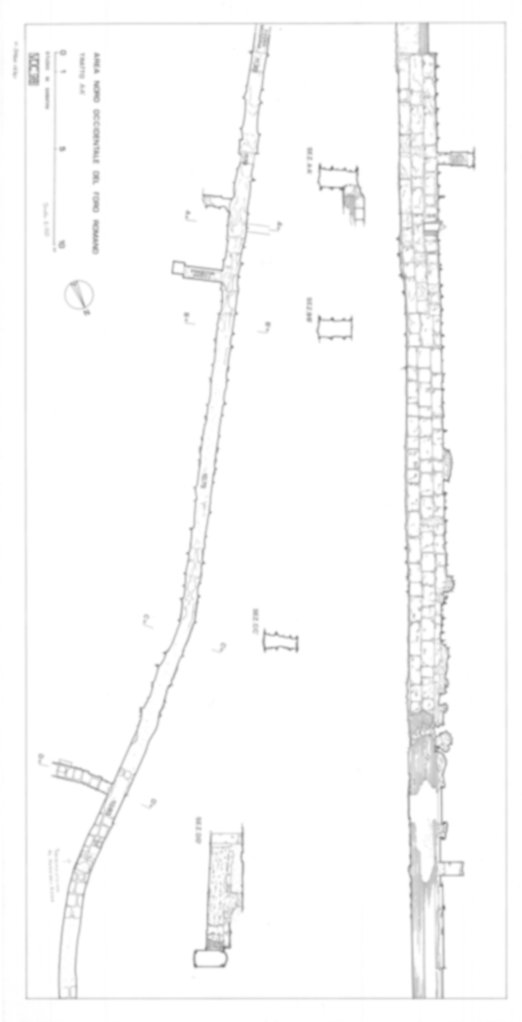 Roma, Foro Romano. Scavo via della Consolazione; lato ovest Foro Romano; Tempio della Concordia; Vico Jugario