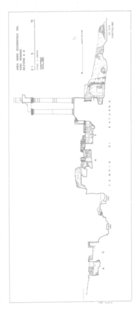 Roma, Foro Romano. Scavo via della Consolazione; lato ovest Foro Romano; Tempio della Concordia; Vico Jugario