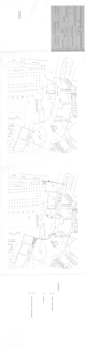 Roma, Foro Romano. Scavo via della Consolazione; lato ovest Foro Romano; pendici del Campidoglio