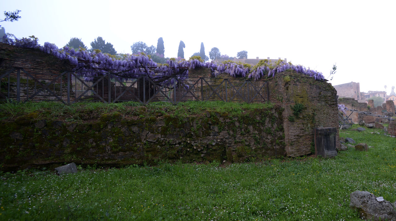 Tempio di Bacco (cosiddetto)