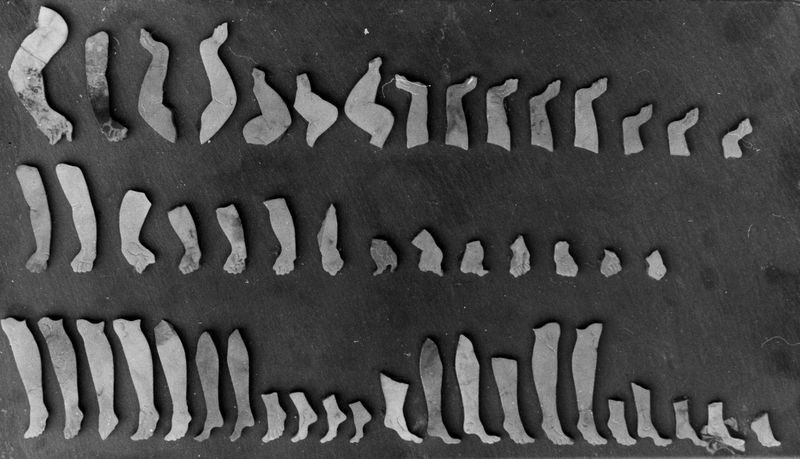 005827 - reperto - Crustae marmoree parietali raffiguranti gambe, piedi e braccia, pertinenti a figure di Eroti e danzatrici. Il materiale di cui si compongono Ã¨ giallo antico. Bibliografia di riferimento: "Museo Palatino, le Collezioni" a cura di M.T. Tomei e C. Gasparri, Electa 2014 pp. 190-194. Neg. serie 6x6x nÂ° 5597