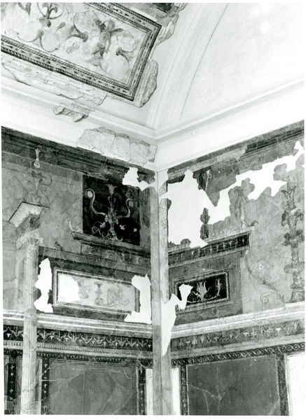 002047 - reperto - Casa di Augusto, "Studiolo di Augusto" c.d., cubicolo superiore, parete N/E: pittura parietale in secondo stile pompeiano, dopo il distacco e restauro, con ricollocazione in situ su pannelli. Bibliografia: Musatti, G. "Casa di Augusto sul Palatino. L'intervento di restauro e considerazioni sulla decorazione pittorica" in Bollettino d'Arte 2, aprile-giugno 2009 (serie VII) pp. 21 e ss. / Iacopi, I. "Casa di Augusto, le pitture" Electa 2007

Neg. serie 6x6 nÂ° 18656