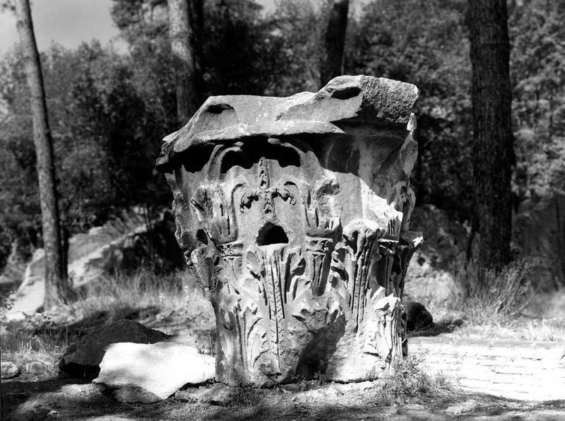 005630 - reperto - Palatino, Clivo Palatino, capitello all'incrocio tra la via Nova e il Clivo (Gab. Naz. Fot., luglio 1949); neg. serie D, img. n. 6146