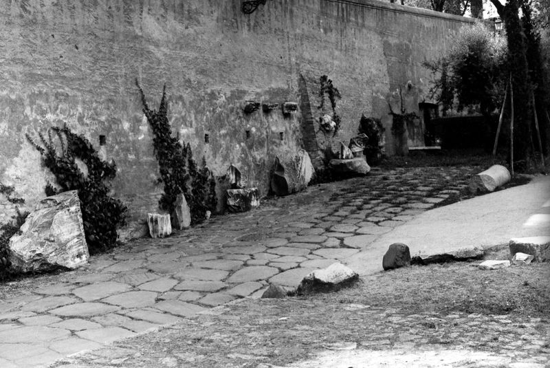 005650 - monumento - Palatino, Clivo Palatino, tratto del Clivo con frammenti architettonici sparsi (1993); neg. serie 6x6, img. n. 20831
