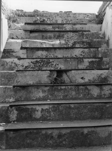 005536 - monumento - Domus Transitoria, demolizione di una scalinata moderna nel 1981. Neg. serie Film nÂ°929