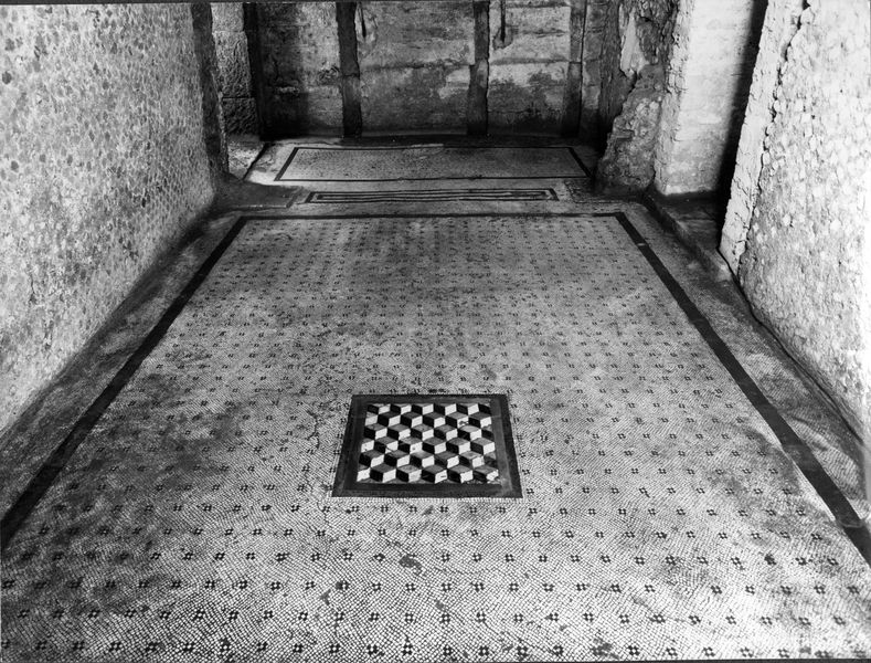 001793 - monumento - Casa dei Grifi, piano inferiore, vano B:  il tappeto musivo Ã¨ composto da tessellato bianco ad ordito obliquo, decorato dal motivo a crocette (quattro tessere nere e una bianca centrale).Al centro
emblema a "cubi prospettici" (anche detto scutulatum) composto da un intarsio di lastrine di forma romboidale di palombino, verdi e nere di calcare, misuranti circa 5 cm di lato. E' incorniciato da una fascia di lastrine rettangolari di rosso antico, tre filari di tessere nere e due di tesse bianche. L'emblema misura 54x51 cm.
Databile in etÃ  sillana (90 a.C.).
Riferimenti bibliografici: M.L. Morriconi "Mosaici antichi in Italia-Regio X Palatium" pag. 24 tavv. 9/11

Senza negativo