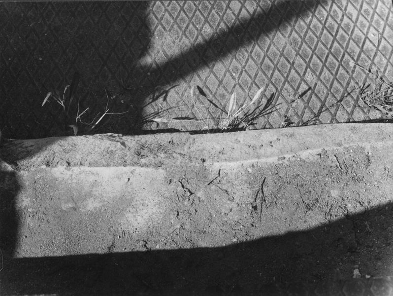 005538 - monumento - Domus Transitoria, demolizione di una scalinata moderna nel 1981. Neg. serie Film nÂ°929