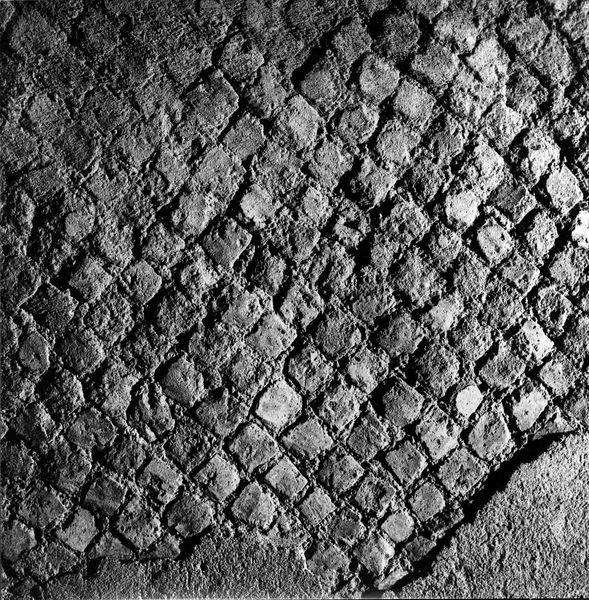001835 - monumento - Casa dei Grifi, piano inferiore, vano F: particolare del paramento murario in opera quasi reticolata. 
Riferimenti bibliografici: Morricone, M.L. "Mosaici Antichi In Italia-Regio X, Palatium" 1967 Pag. 18 

Senza negativo