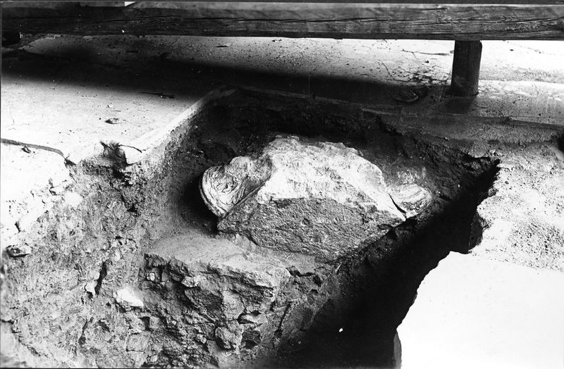 001836 - scavo archeologico - Casa dei Grifi, durante i lavori di scavo con il ritrovamento di uno dei capitelli ionici. Neg. serie F nÂ° 1975