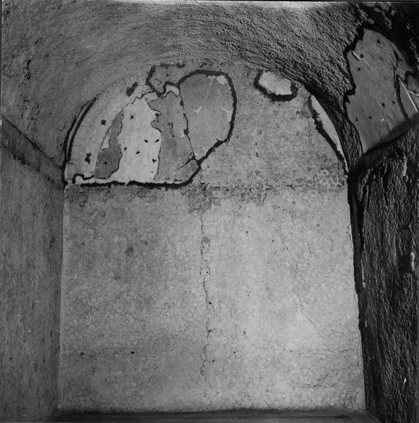 001821 - monumento - Casa dei Grifi, piano inferiore, cubiculum centrale (vano B): particolare del muro in opera incerta.
Bibliografia di riferimento: Morricone, M.L. "Mosaici antichi in Italia-Regio X, Palatium" 1967 pag. 18

Neg. serie 6x6 nÂ°824