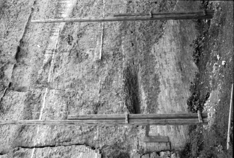 1-00023/ 07565/ 16791 - Roma - Domus Tiberiana (?)
