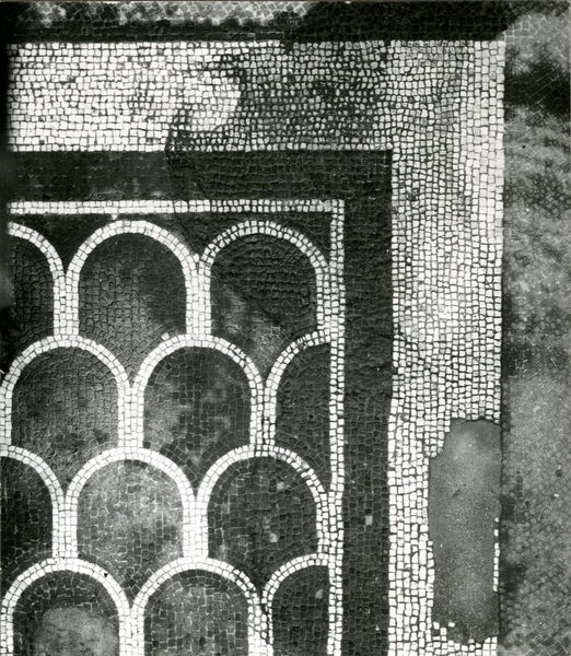 002745 - monumento - Casa di Livia, tra l'atrio E e la soglia del vano D (triclinio): balza marginale di tessere bianche e una cornice composta da sei filari di tessere nere, accompagnate da due filari di tessere bianche. Il mosaico si compone del motivo di "squame" o altrimenti detto di "embrici".  Databile tra l'etÃ  di Cesare ed Augusto. 

Bibliografia: "Mosaici antichi in Italia- Regio X Palatium" 1967

Neg. serie 6x6 nÂ°774