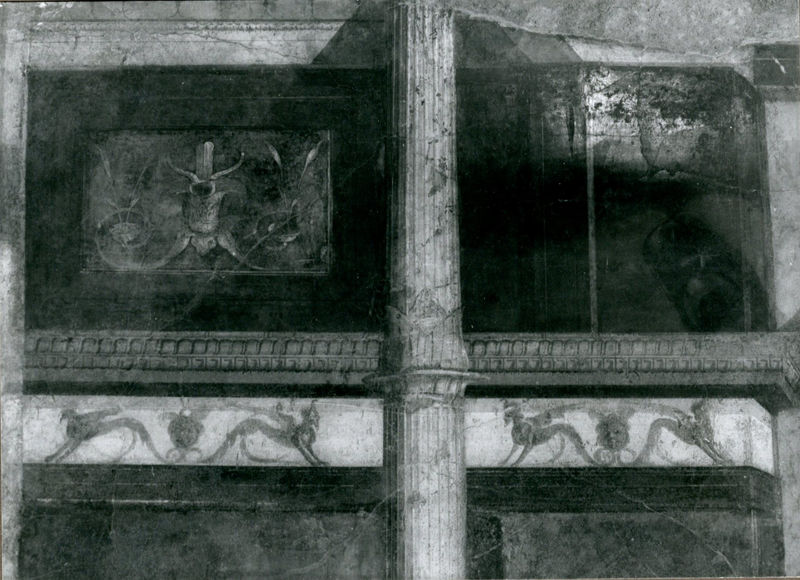 002799 - monumento - Casa di Livia, Triclinio o Sala dei Paesaggi (vano D): particolare del pinax di sinistra della parete di fondo, raffigurante un bucranio, un lungo serto di foglie e bende.  Bibliografia: Rizzo "Le pitture della casa di Livia" 1936

Neg. serie Film nÂ° 1072