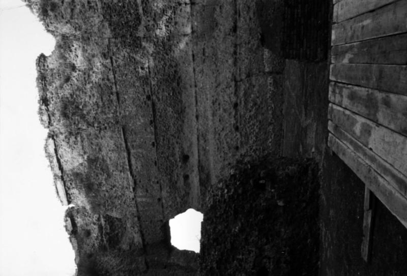 1-00023/ 07565/ 16791 - Roma - Palatino - Domus Tiberiana