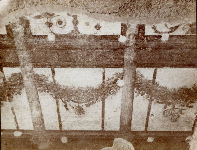 002655 - monumento - Casa di Livia, ala destra o sala del Monocromo (vano C): particolare della parete nord- est, terzo e quarto pannello, con festoni di frutta e fiori. Secondo stile pompeiano (fase finale- II B di Beyen). Bibliografia : Rizzo "Le pitture della casa di Livia" 1936

Senza negativo