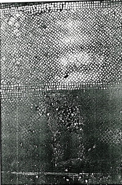 002690 - restauro - Casa di Livia, distacco delle tessere del mosaico dell'atrio E, durante un lavoro di pronto intervento. 

Neg. nÂ°1659