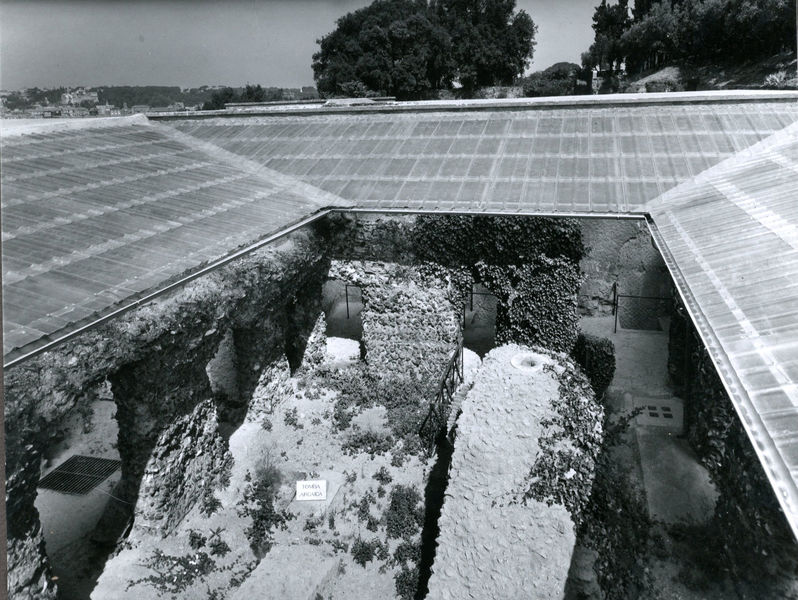 002756 - monumento - Casa di Livia, peristilio: veduta generale del peristilio da sud-est, con particolare della copertura in ondolux ( luglio 1967). 

Neg. serie F nÂ°2745