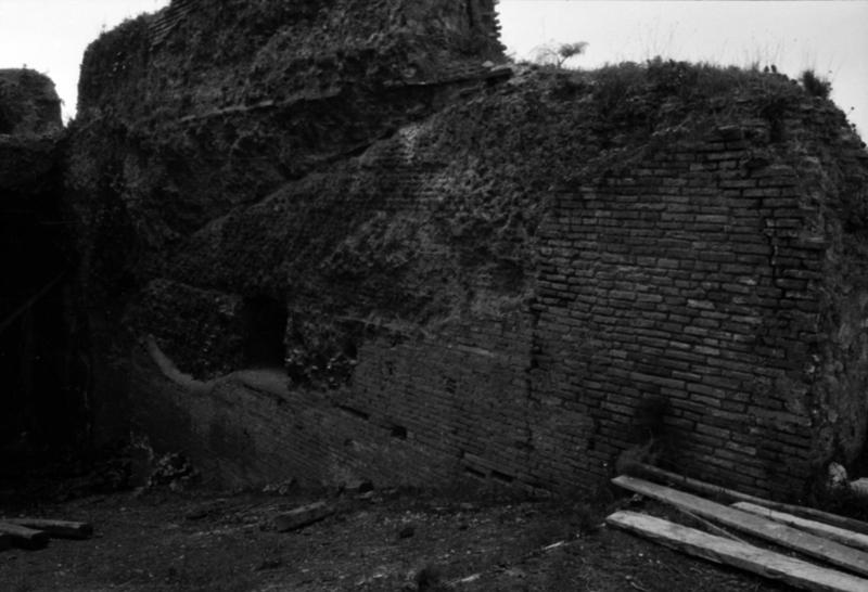 1-00023/ 07565/ 16791 - Roma - Domus Tiberiana (?)